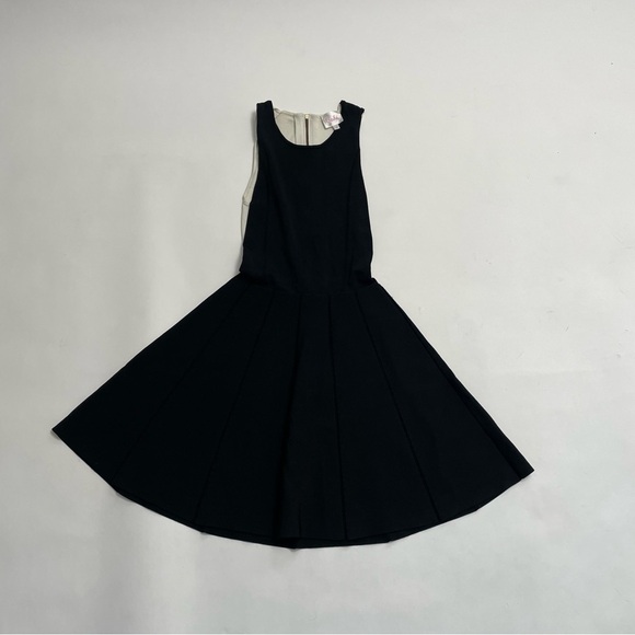 Parker Dresses & Skirts - PARKER pleated swing dress